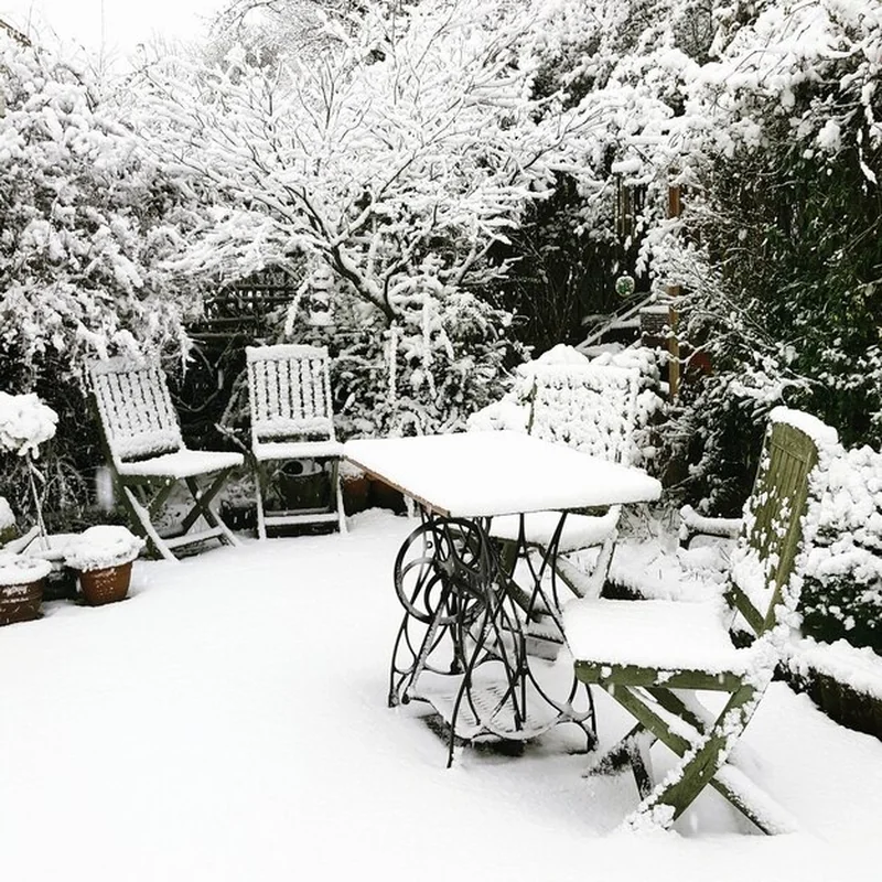 Zimowa scena w ogrodzie