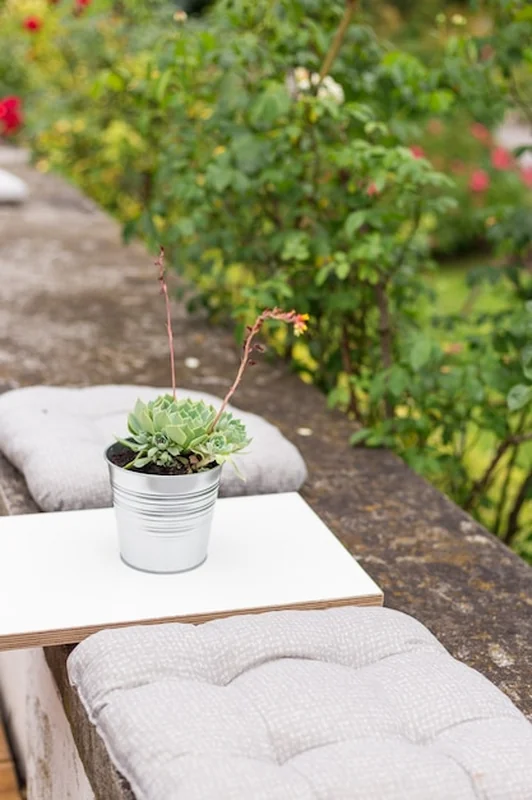 Taras ze stołem i sukulentami na zewnątrz, inspiracje do ogrodu