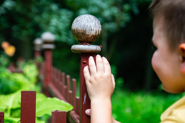 Czym jest ogród sensoryczny? Jak go zaprojektować?