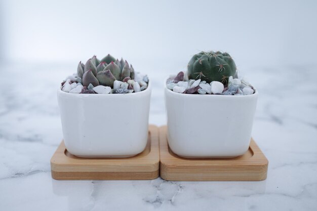 Podswietlana donica 2