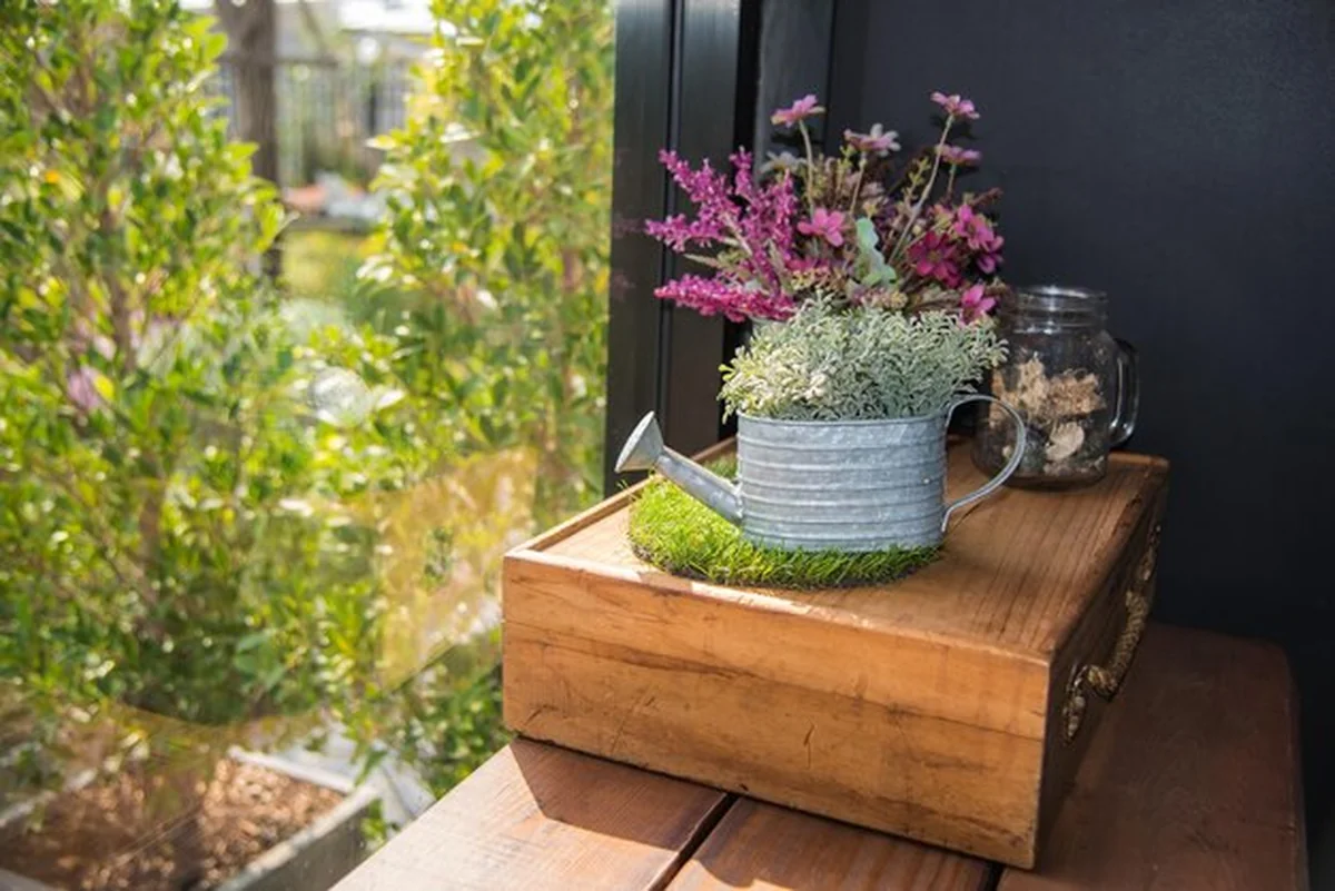 Rośliny w doniczkach ogrodowych