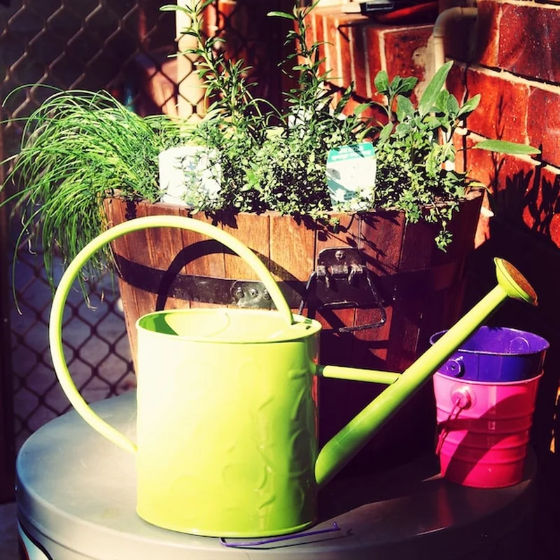 Doniczki z systemem nawadniania – jak je skutecznie używać?