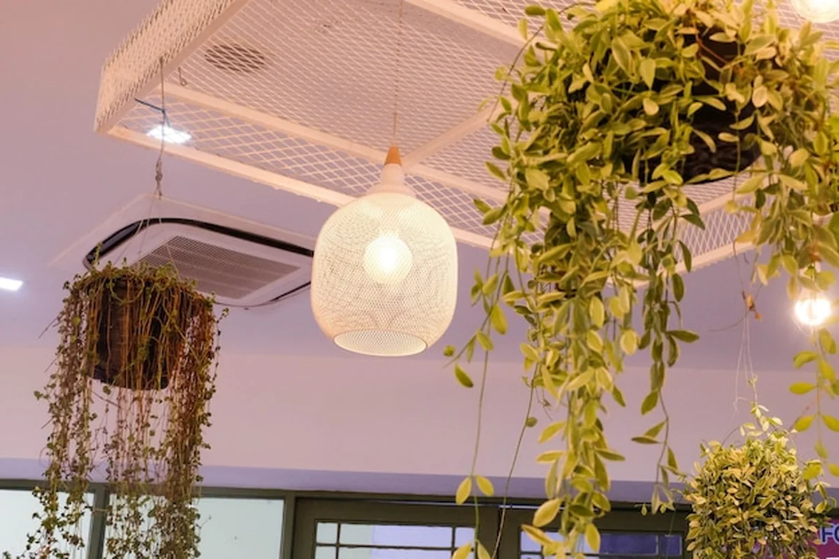 Lampy zawieszone na suficie pod niskim kątem widoku