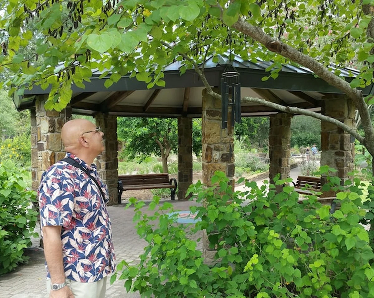 Dojrzały mężczyzna patrzy na drzewo przy altanie w parku