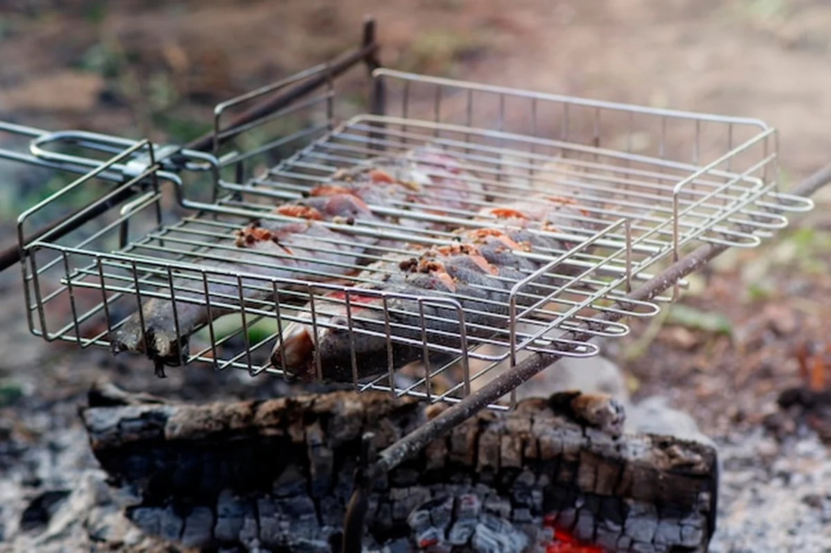 Zbliżenie mięsa na grillu