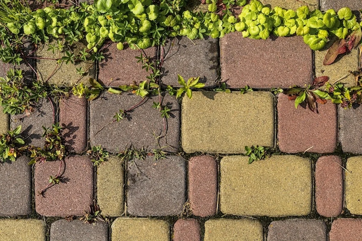 Tekstura różnych rodzajów kostek brukowych
